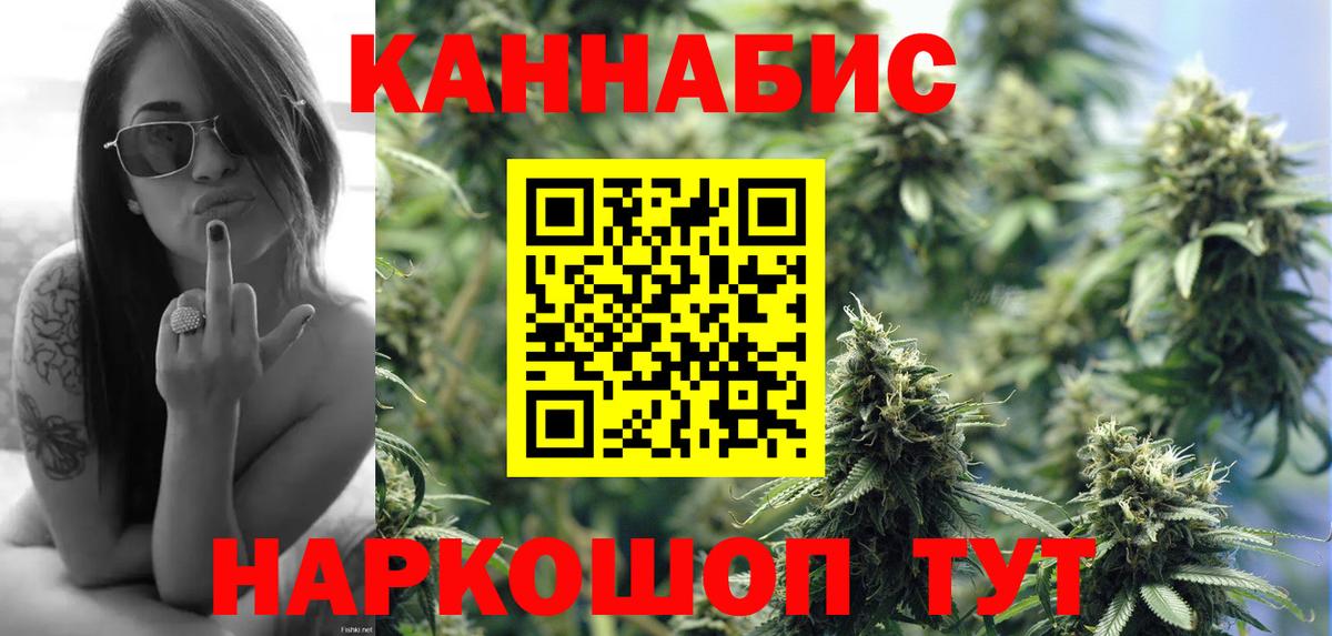 Конопля OG Kush Сосновый Бор